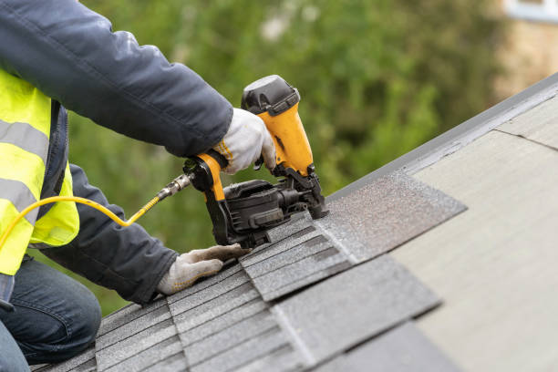 Best Roof Leak Repair  in Oill, NE